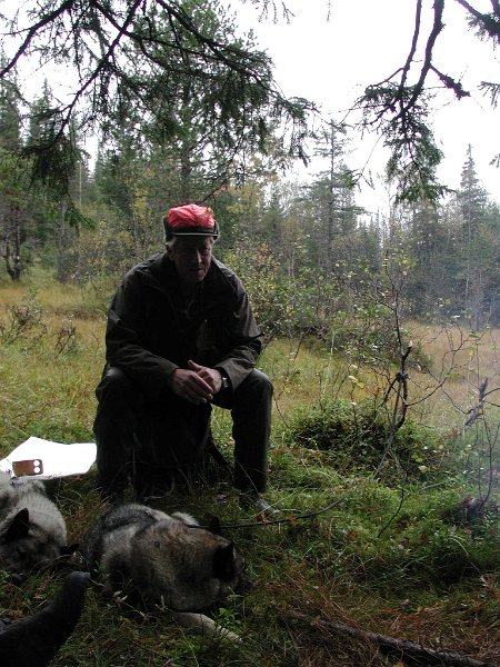 2003 Furuskogmyra_4.jpg - Jostein